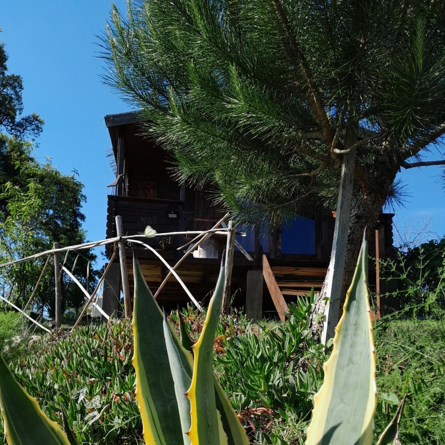 Casa Do Sobreiro 2 Bed & Breakfast Serra das Alhadas ภายนอก รูปภาพ