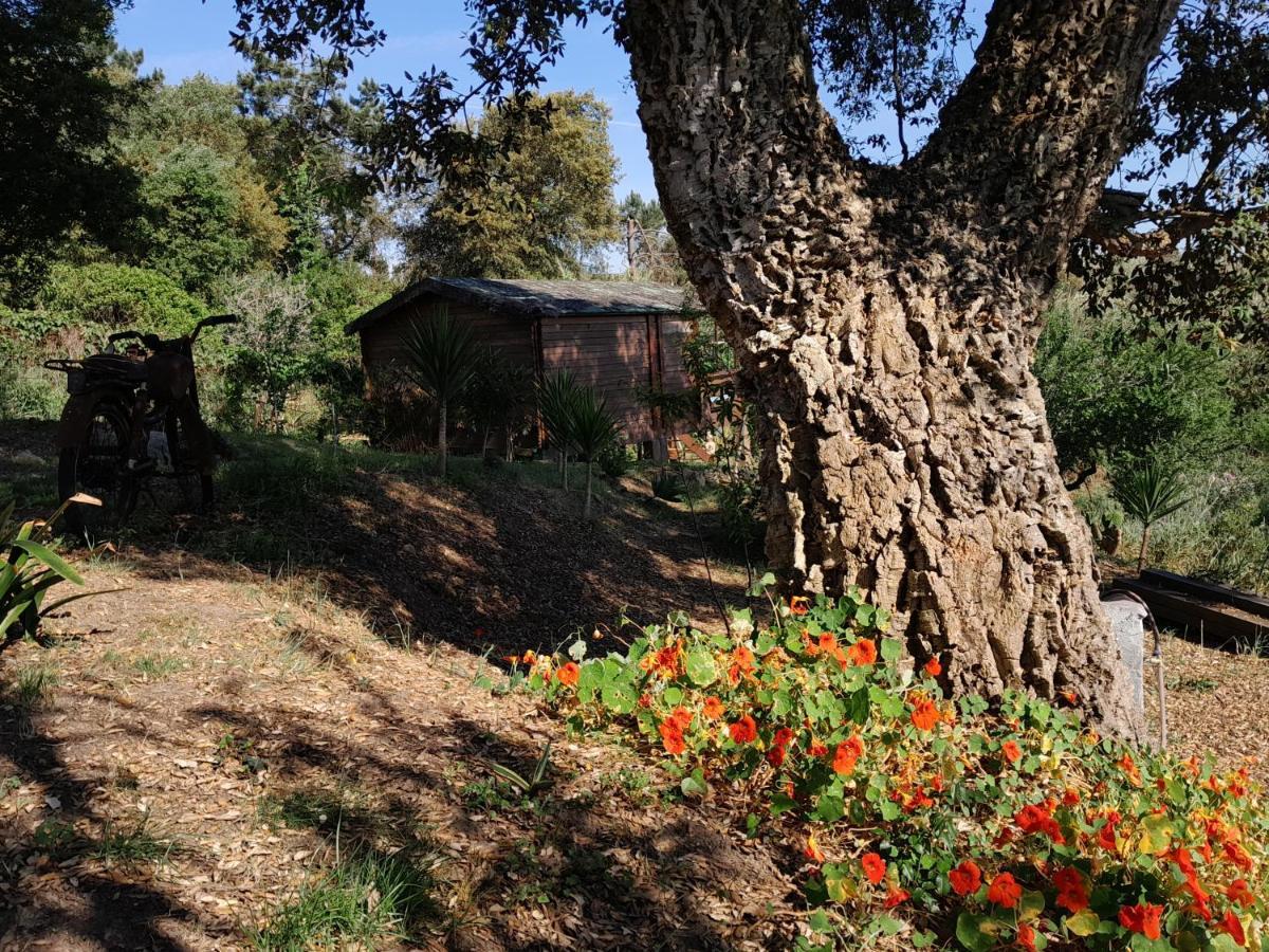 Casa Do Sobreiro 2 Bed & Breakfast Serra das Alhadas ภายนอก รูปภาพ