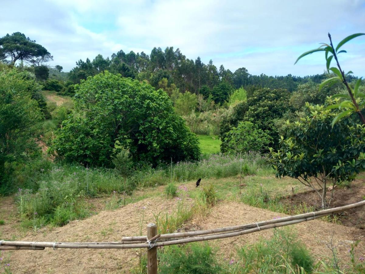 Casa Do Sobreiro 2 Bed & Breakfast Serra das Alhadas ภายนอก รูปภาพ