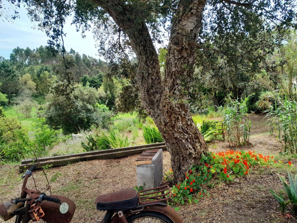 Casa Do Sobreiro 2 Bed & Breakfast Serra das Alhadas ภายนอก รูปภาพ
