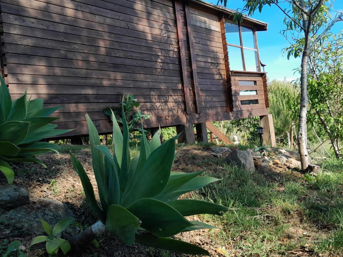 Casa Do Sobreiro 2 Bed & Breakfast Serra das Alhadas ภายนอก รูปภาพ